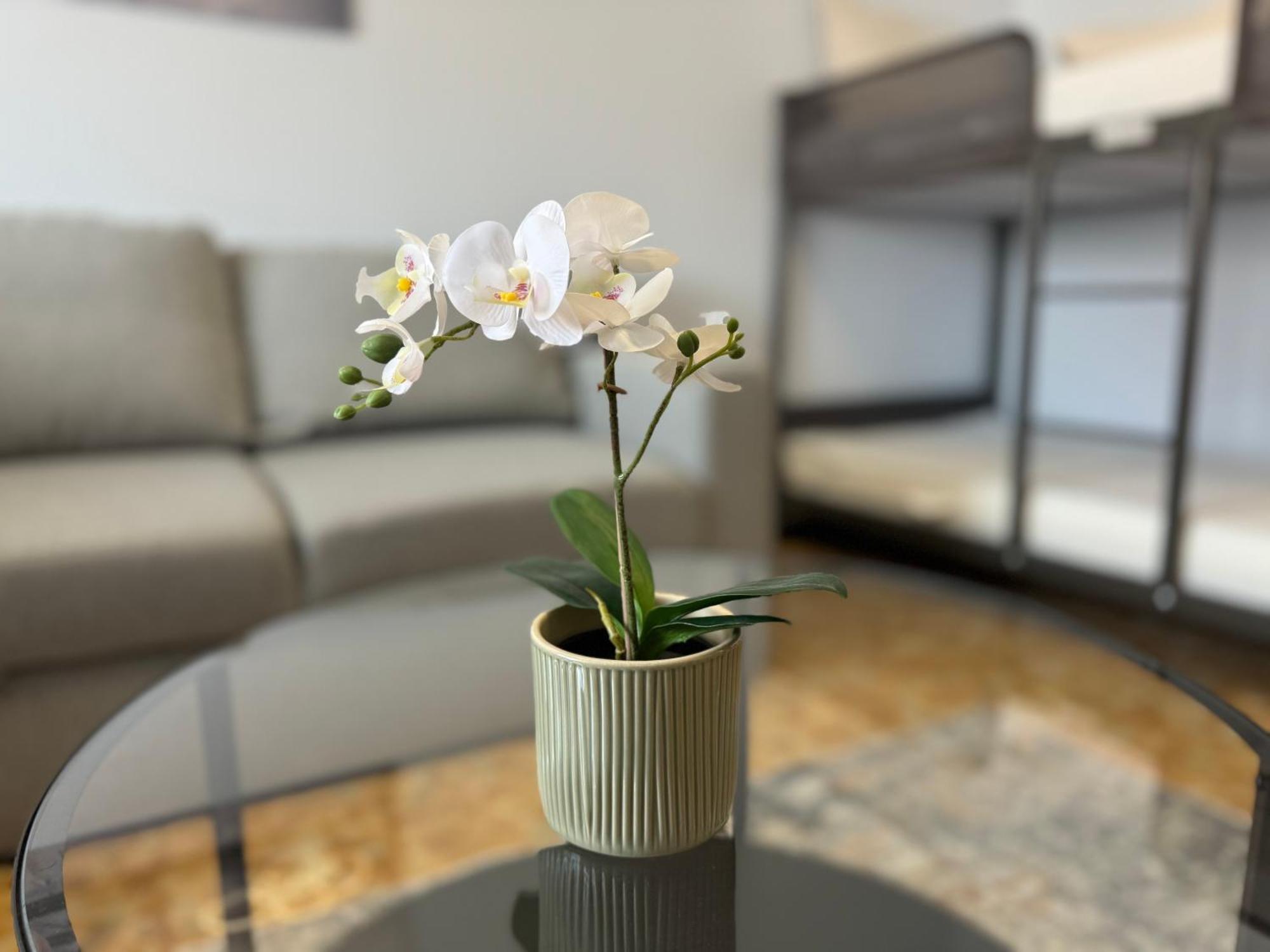 Apartament Casa Albenga Zewnętrze zdjęcie